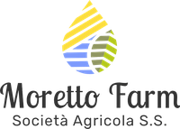 Logo Moretto Farm